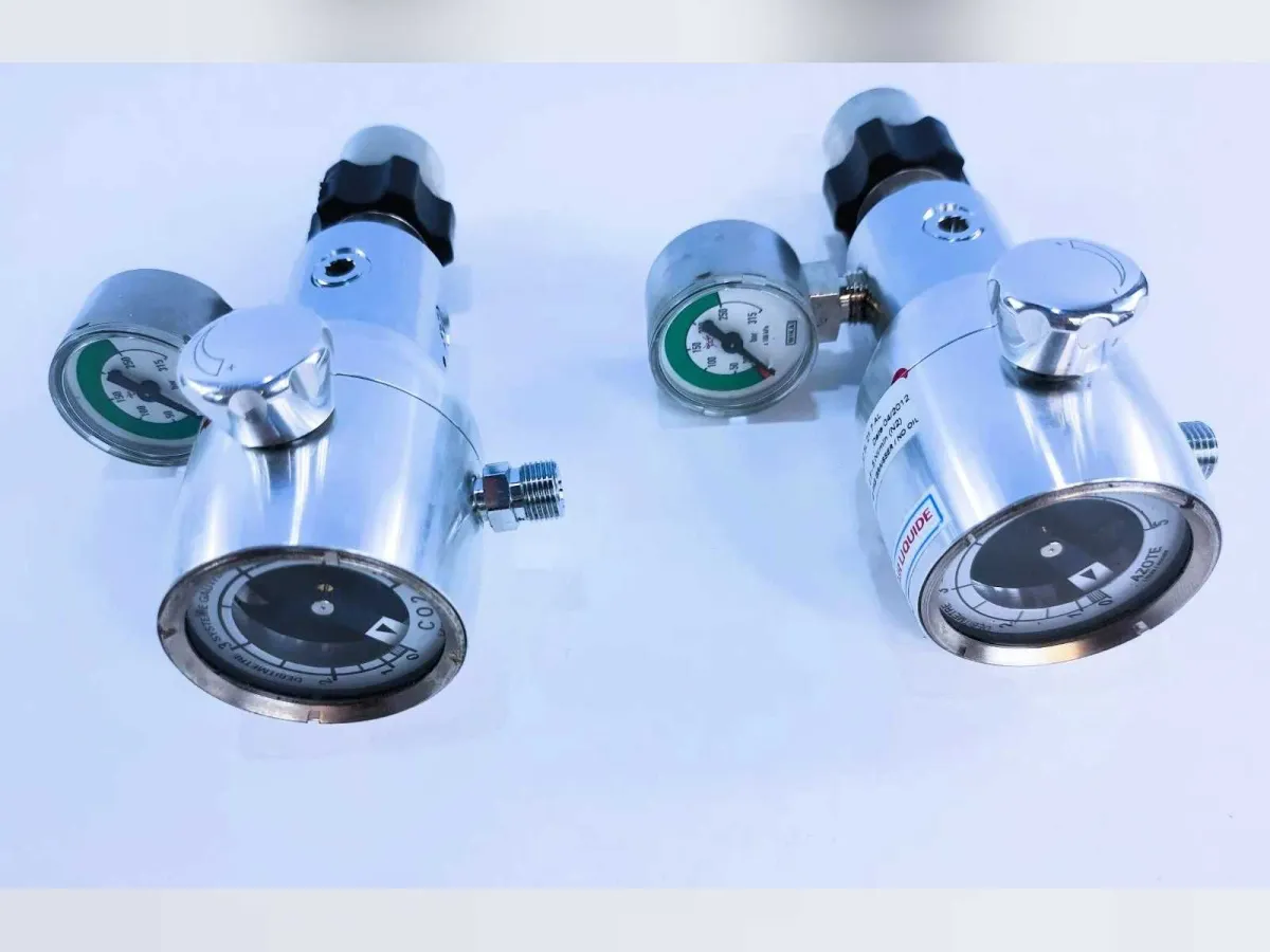 Air Liquide Dynabloc – Gasdurchflussmesser (Set von 2)