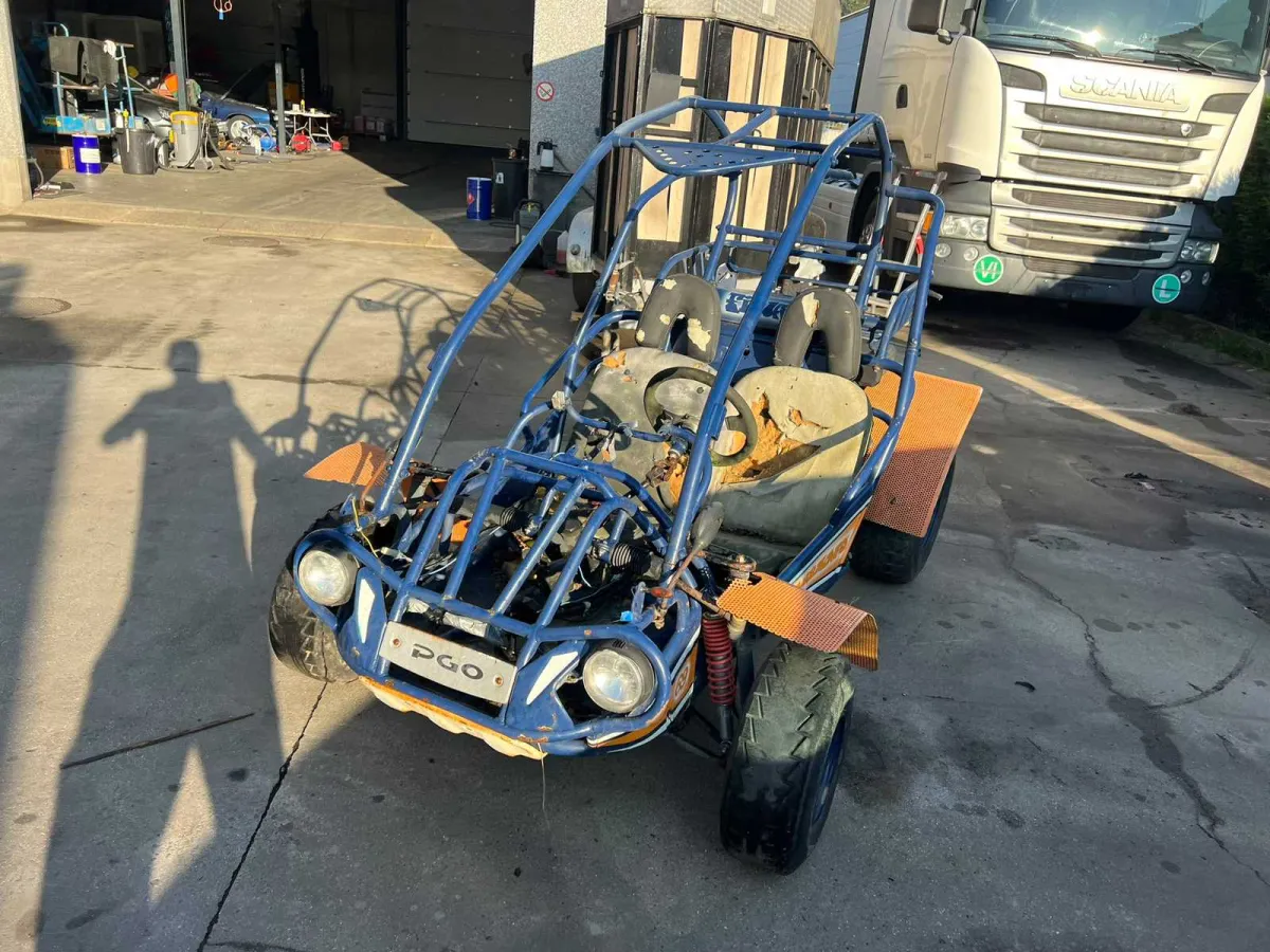 PGO 300 Buggy