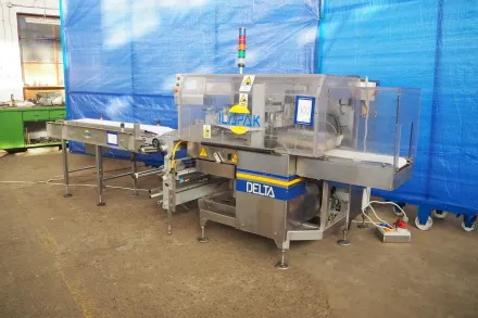 Ilapak flowpacker, type: DELTA 500 LDR, serial num – RESALE