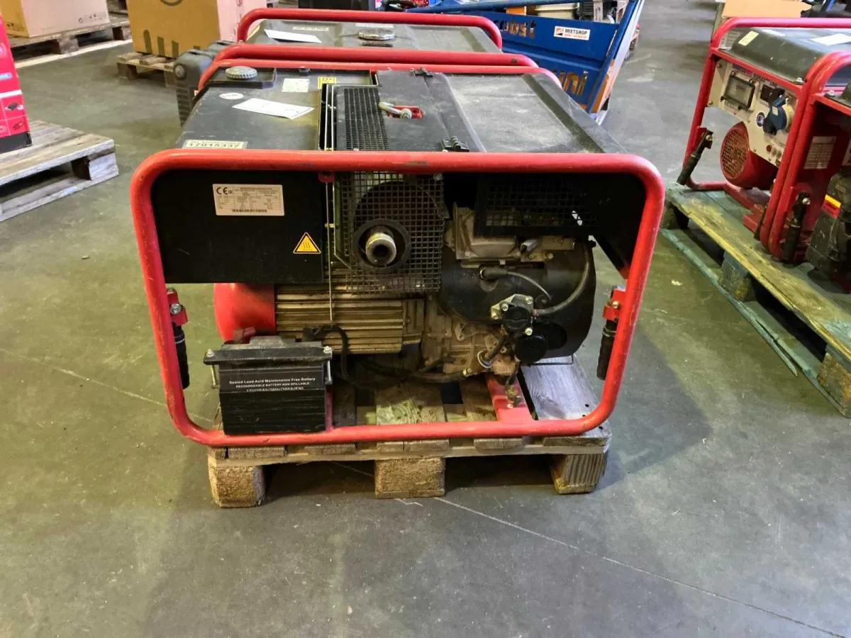 ENDRESS - 2017 - ESE 1006 - Stromgenerator