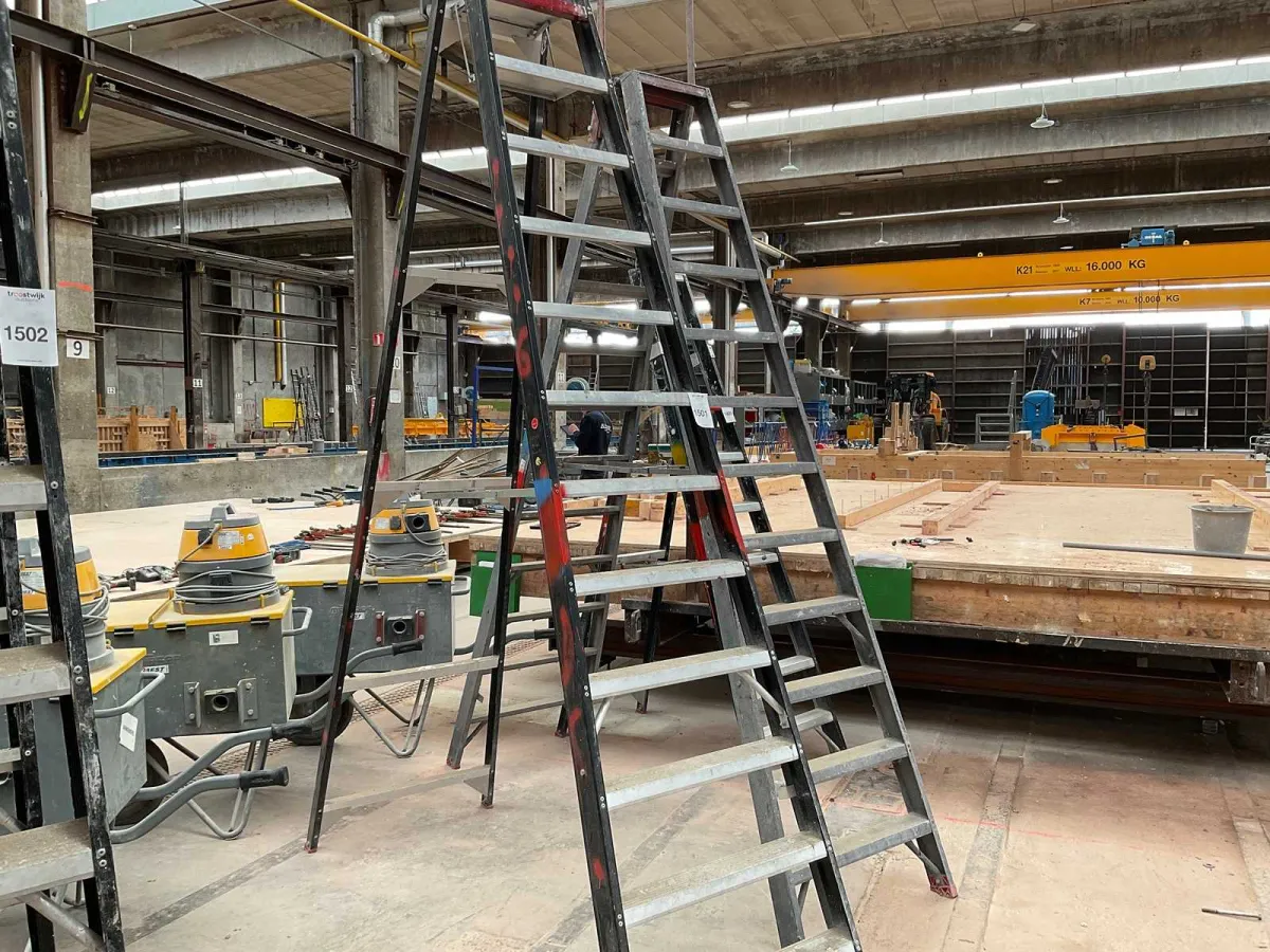Altrex Pro Taurus Ladder