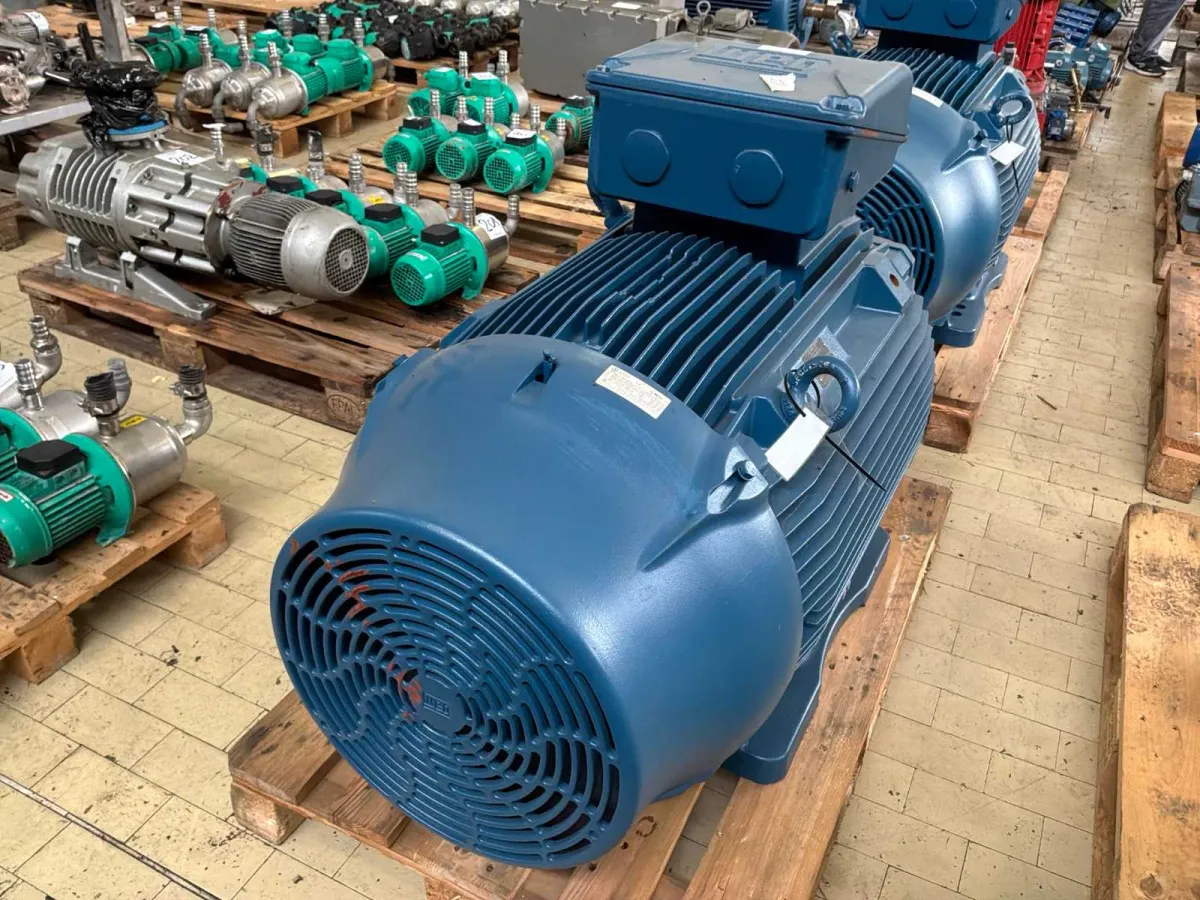WEG-Elektromotor