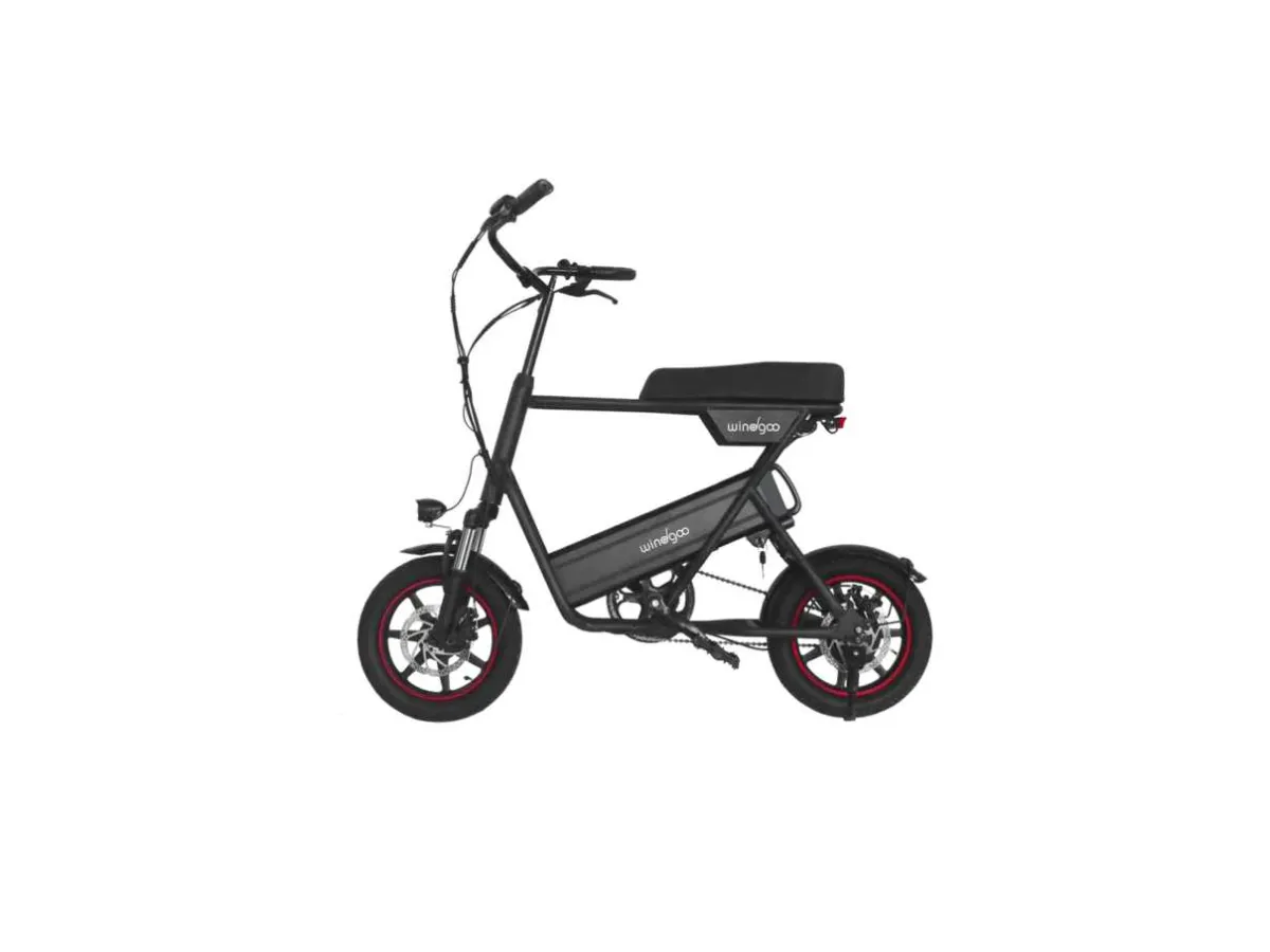 Windgoo - F1 - Elektrisches Minibike - Elektrofahrrad