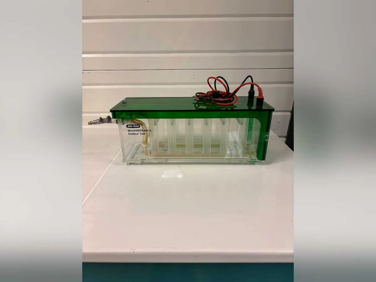 BIO-RAD – Dodeca-Zell-Mini-Protean-III-Bio-RAD-Dodeca-Zell-Mini-Protean-III-Elektrophorese-Tank Elek