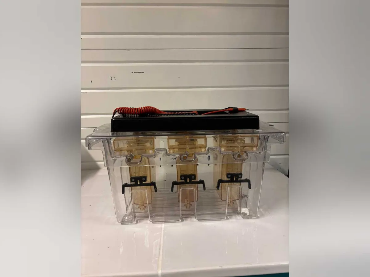 BIO-RAD - PROTEAN II xi Multi-Cell - BIO-RAD - PROTEAN II xi Multi-Cell