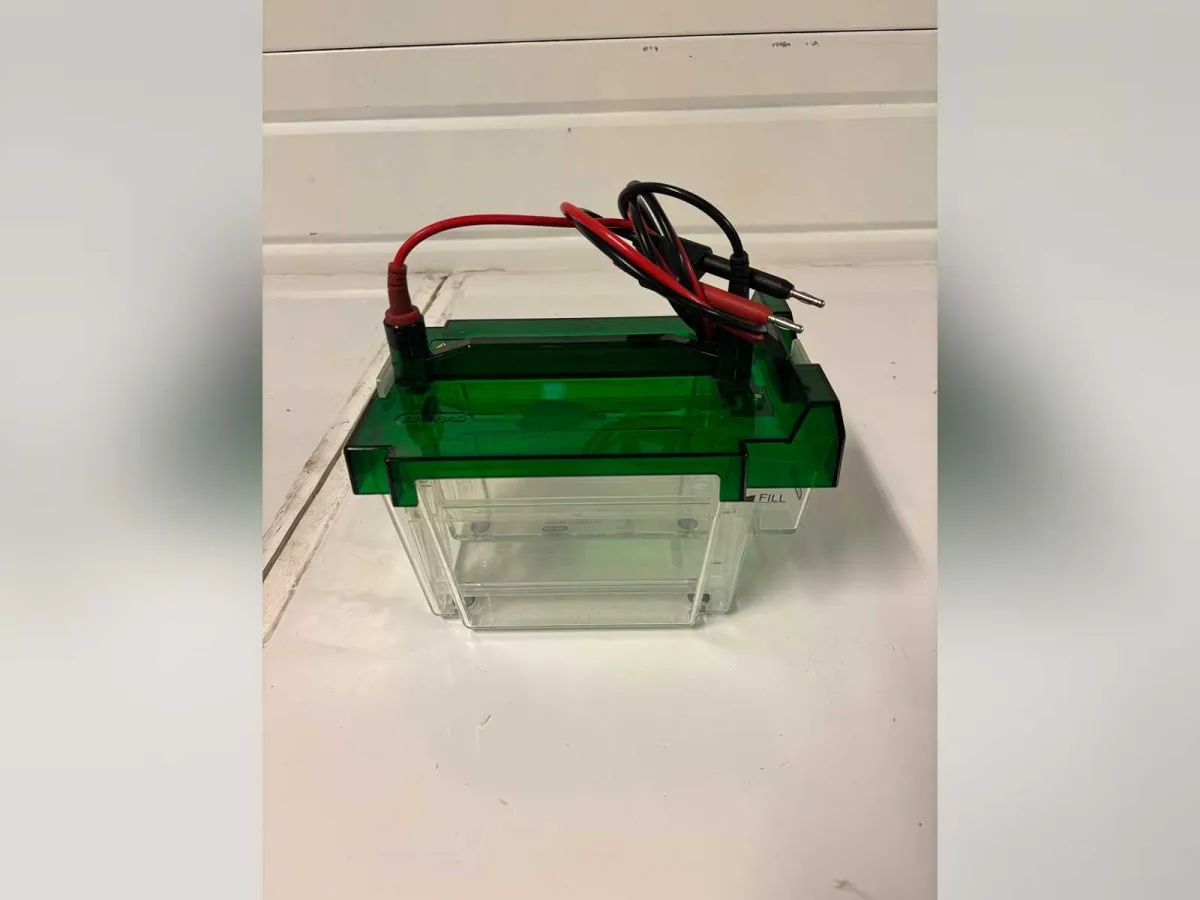 ELEKTROPHORESE-TANK - BIO-RAD - Kriteriumzelle