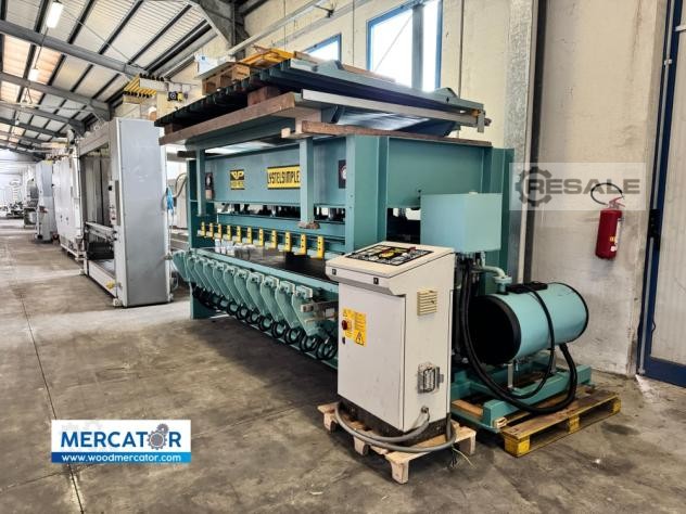 Baioni Listelsimplex Durchlaufpressen – RESALE