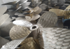 Maschine: PORPLLERS Marine propellers 