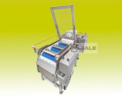 Maschine: VORAN MASCHINEN GMBH EBP420 Einbandpresse