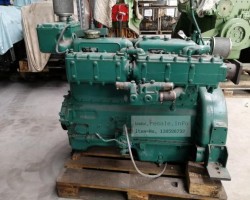 Maschine: DAF 825 Dieselmotoren
