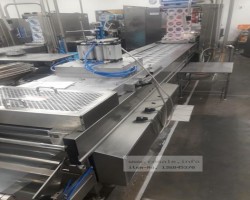 Maschine: MULTIVAC R 530 