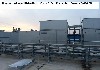 Maschine: CARRIER ,  3100KW Chiller, Carrier 19XR, Carrier , Chiller 19XR, Turbo,  Centrifugal