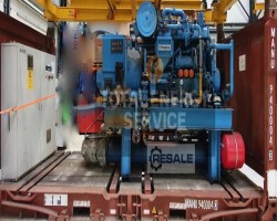 Maschine: PERKINS NUTEC 300 Gasgeneratoren