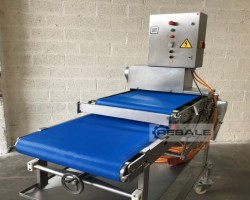 Maschine: PLäTTER ALCO type ASP 600 Fleischformer