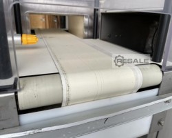 Maschine: CINTEX Sentry Metalldetektor