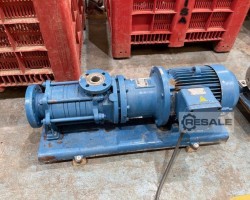 Maschine: STERLING SIHI CEHY 4102 TF9AW4BANB Pumpen