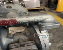 Maschine: SANDPIPER S1F B1ABWANS000 Pumpen