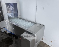 Maschine: RUTLAND Sanitiser tunnel 