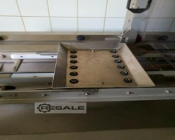 Maschine: ECAT  In-Ovo-Impfungssystem