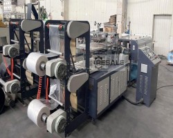 Maschine: RUIAN QUEENSENSE DHB-500 folienhandschuh Produktionslinie