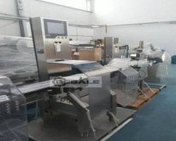 Maschine: OCS type HC Durchlaufwaage