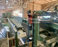 Maschine: PAUL S900 Besäumkreissägen