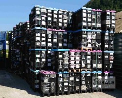 Maschine: SCHEFENACKER box 1 Stapelbehälter