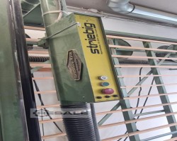 Maschine: STRIEBIG Standard 5220 A/G Plattensägen