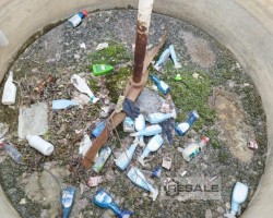 Maschine:   Rührwerk