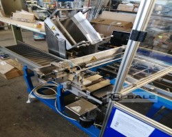 Maschine: MULTIPAK packing in cardboard box Lebensmittelverpackungsmaschinen