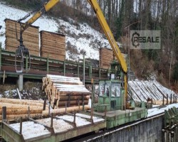Maschine:  Baljer Zemrod Rundholzsortier- und Transportwagen