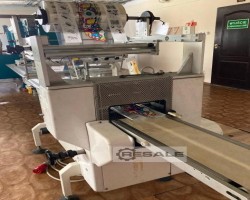 Maschine: PFM SWIFT Beutelverpackungsmaschinen