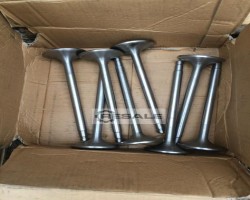 Maschine: WARTSILA 24TS 524TS -  121101 - 24TS Einlassventil 121101