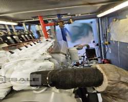 Maschine: MAN 2876 LE302 Gasgeneratoren