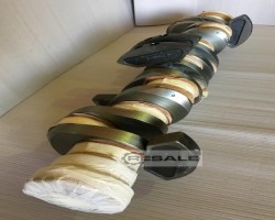 Maschine: DEUTZ BA 6M 816 Kurbelwelle