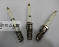 Maschine: GUASCOR OEM Ersatzteile