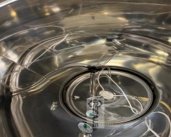 Maschine:   Fermentierkessel