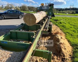 Maschine: PEZZOLATO Timber Quenn 600 Blockbandsägen