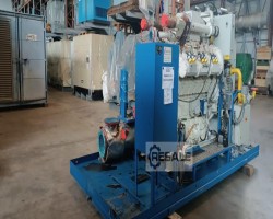 Maschine: WAUKESCHA VGF L36GLD Blockheizkraftwerke (BHKW)