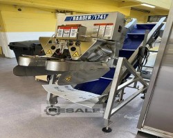 Maschine: BAADER 1741 Fischverarbeitungsmaschinen