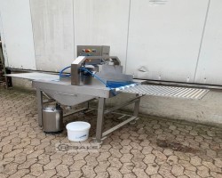 Maschine: FRISCH Smartline Band Überziehungsanlagen