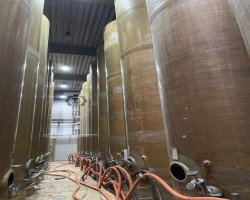 Maschine: SCHOLTEN TANKS P74 with 26,5 m³ stehender GFK Tank