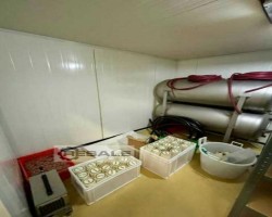 Maschine: DUOTANK 500l Transporttanks