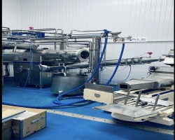 Maschine: WESTFALIA : BUC 1500 Kontinuierliche Butterherstellungsmaschine