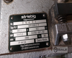 Maschine: STRIEBIG 6220 AV Automatic Plattensägen