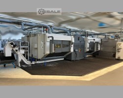 Maschine: D+E ANGER HCP 203