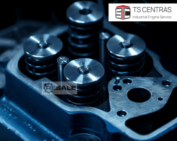 Maschine: MWM TCG2032B Zylinderköpfe