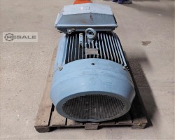 Maschine: ABB M3BP 280SMA 4 Elektromotor 75KW 1485 U/min