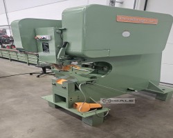 Maschine: PEDDINGHAUS 225 B 100 Lochstanzen