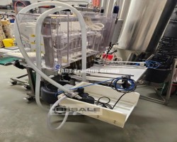 Maschine: WILD GOOSE Meheen M6L 2400bph Flaschenabfüllanlagen